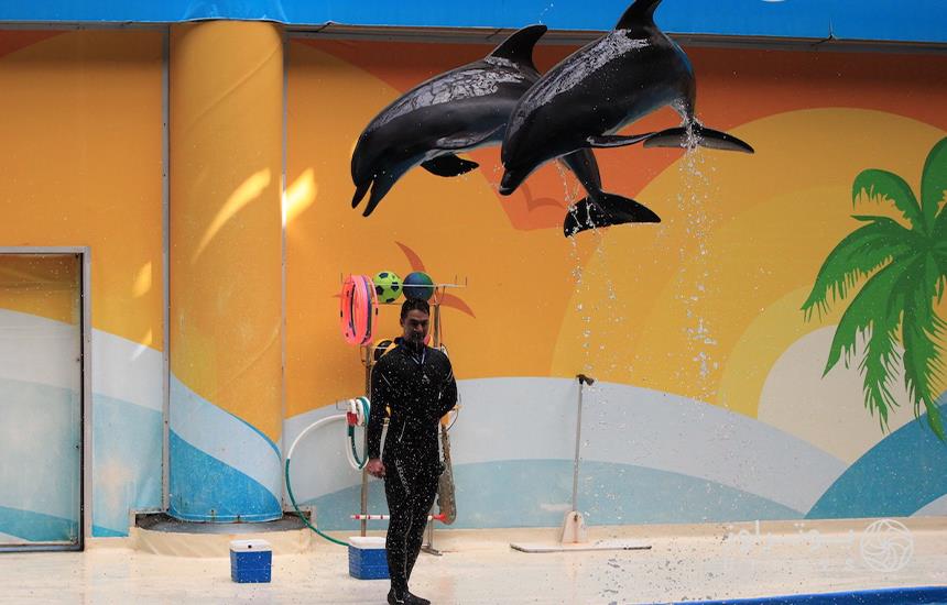  Photo Of dolphinarium park